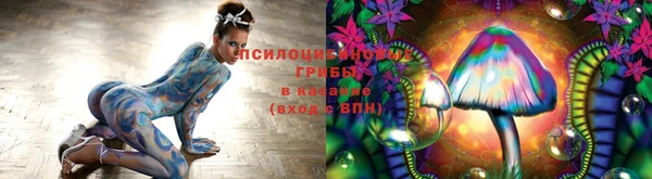 прущие крисы Абинск
