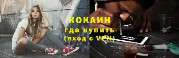 индика Сковородино