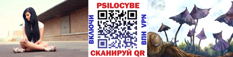 Галлюциногенные грибы Magic Shrooms  дарнет шоп  Терек 