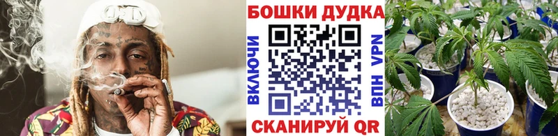 darknet клад  Терек  Бошки марихуана VHQ 
